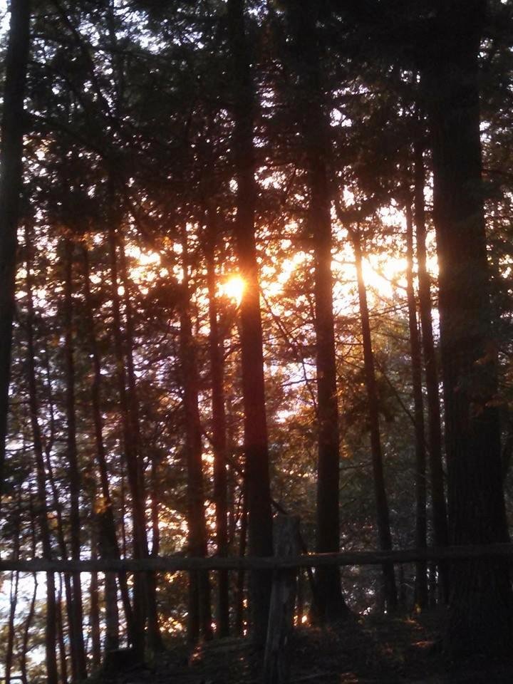 Beautiful campfire time!