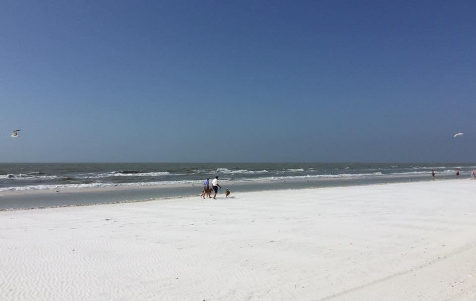 Surfs up!