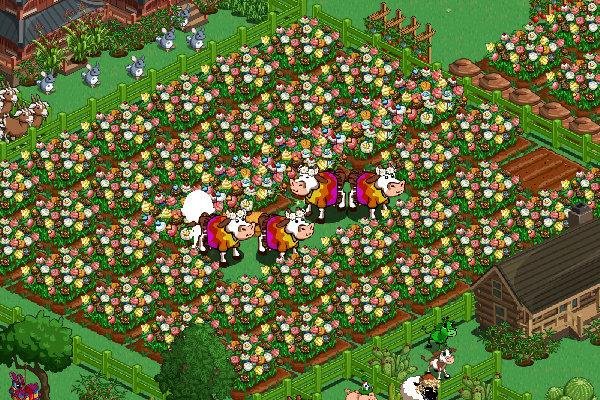 David Hoyle's album, FarmVille Photos