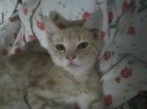Sheila Smith's album, Timeline Photos