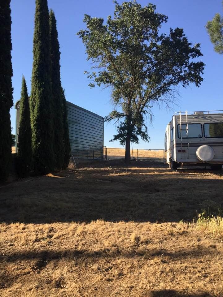 This oak tree was planted as a seedling by our daughter Renee F. Salazar. Magenta and Hershey are buried together below it.