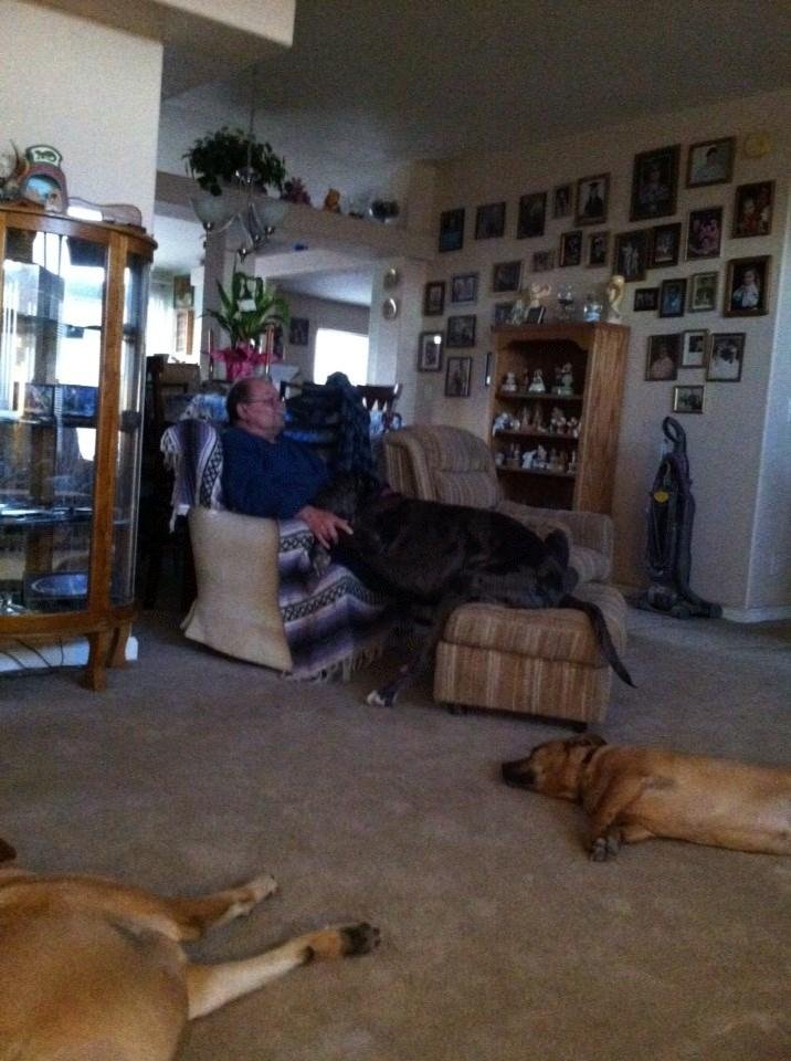 Laying with daddy.
