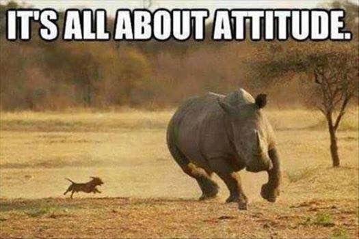 Michael Wilson's album, Timeline Photos