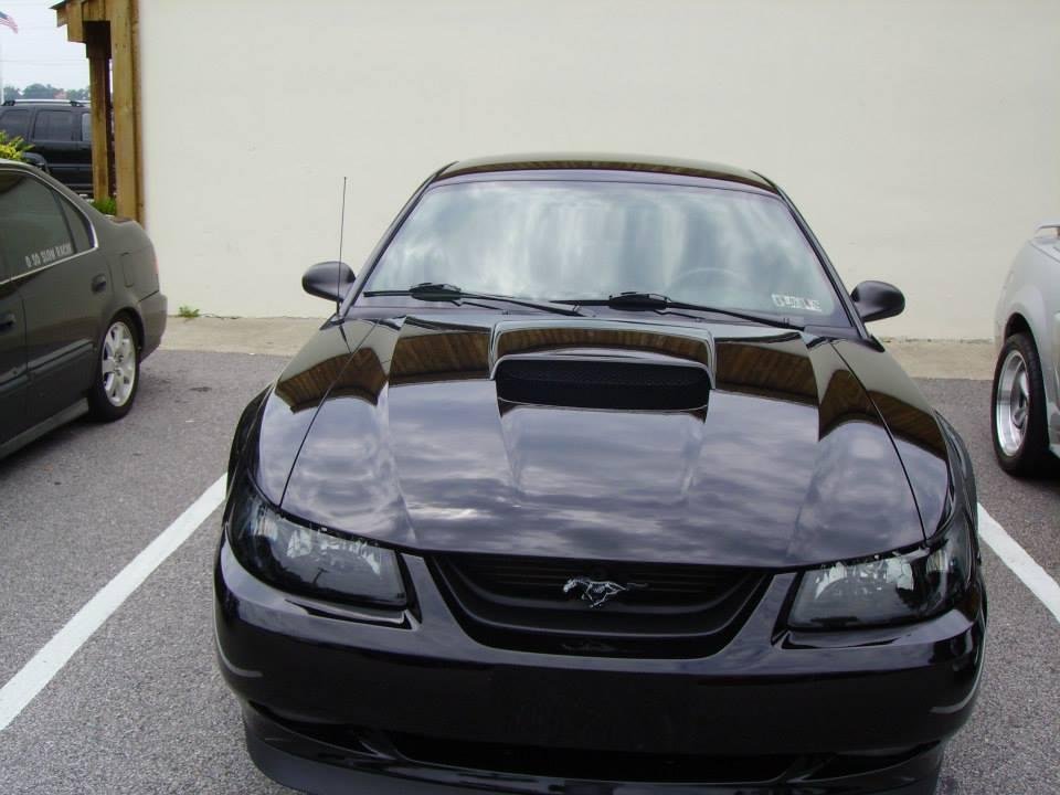 John Webster's album, Just Mustangs