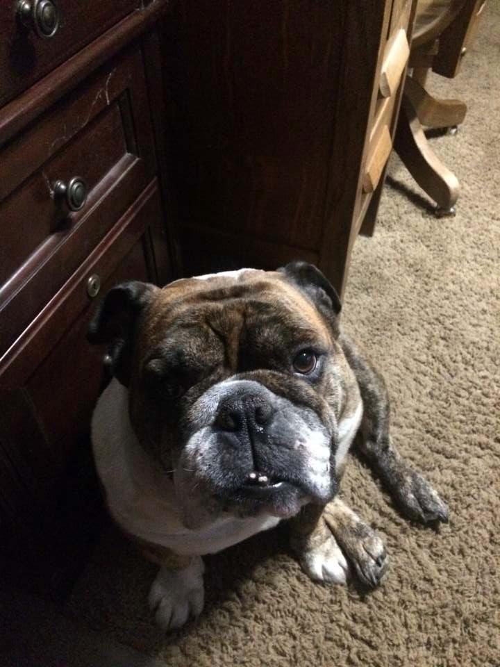 Robert (Bob) Dunlap's album, Mobile Uploads