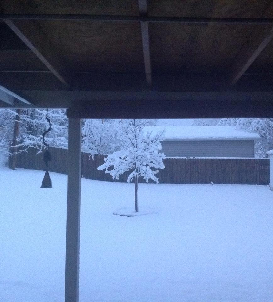 Ahh springtime in Denver. April is here and so is the snow! Ain't life grand?