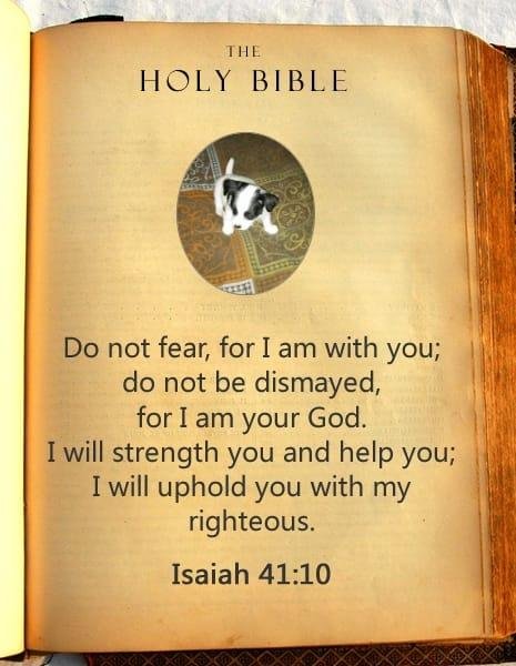 Thank you Jesus
