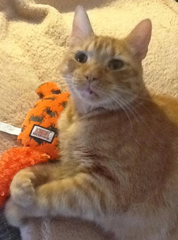 Briar cheese-ing for the camera.