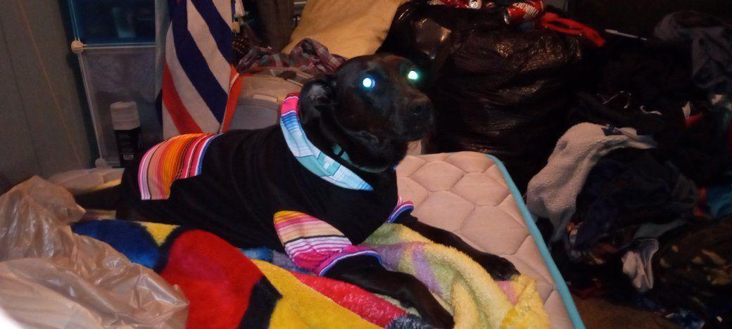 Chancees new hoodie