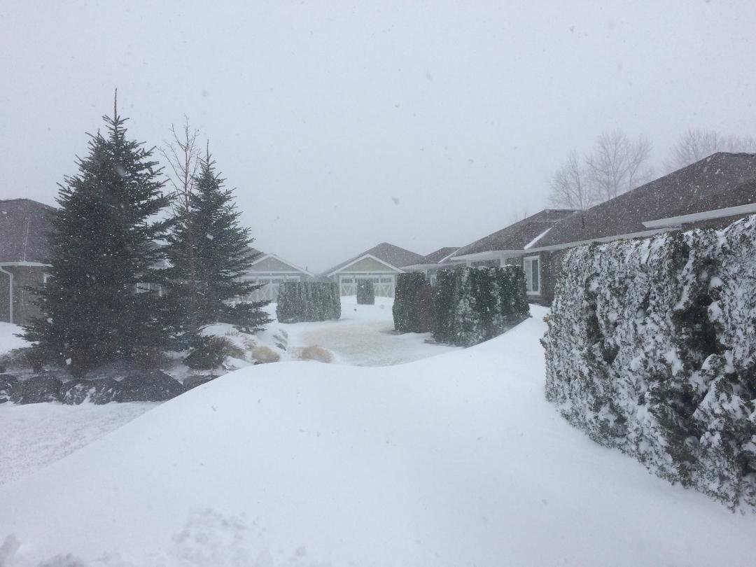 Bruce Mountain's album, Timeline Photos