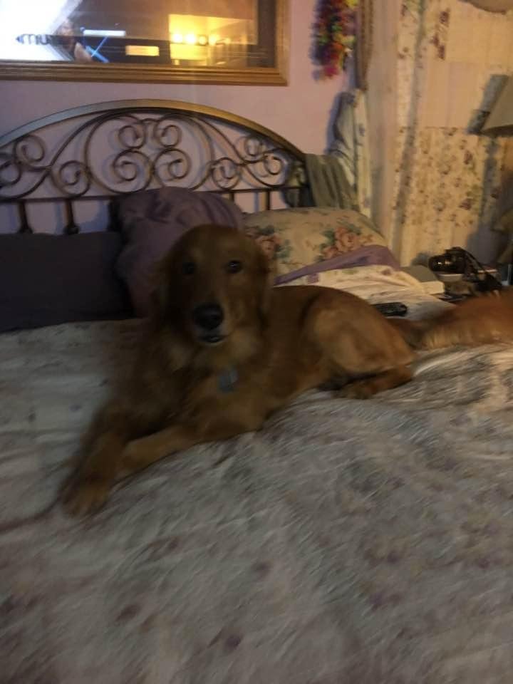 I told him I was going to bed he beat me