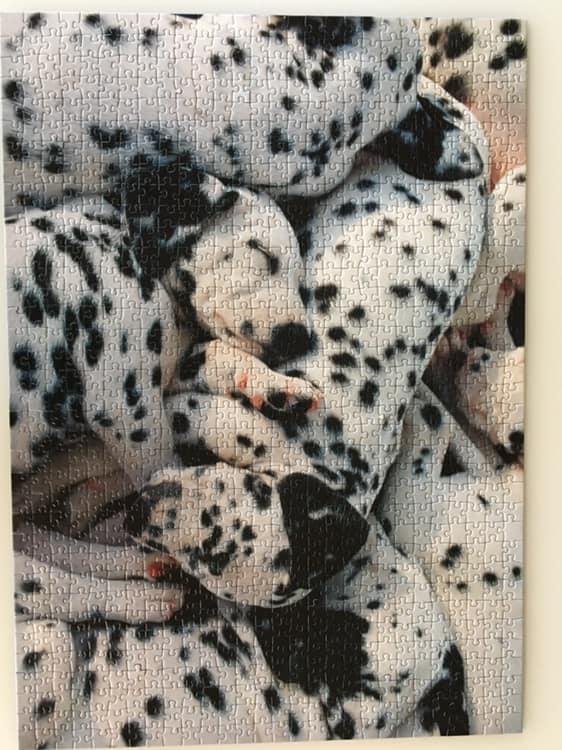 My neighbor, Kate gave me this 1000 piece puzzle. It was cute and hard! Black and white.