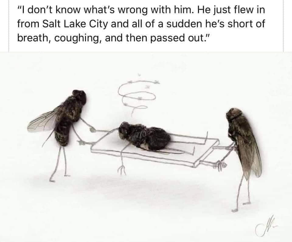 Greg Stileski's album, Timeline photos