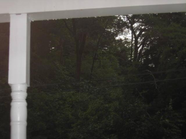 Kathy Murray's album, Timeline Photos