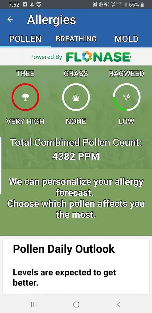 All my Phoenix friends currently dying: I am so sorry that the trees are getting frisky. The news just said "no relief in sight".
