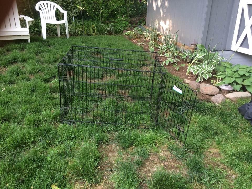 Dog crate for sale