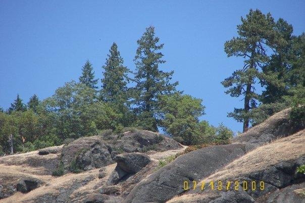 This is a closeup pic of the big rock hill to the east of us.