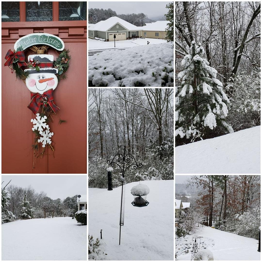 Winter has finally arrived!! 🌨☃️🌨
Pictures of my front and back yards!
Love it!!
