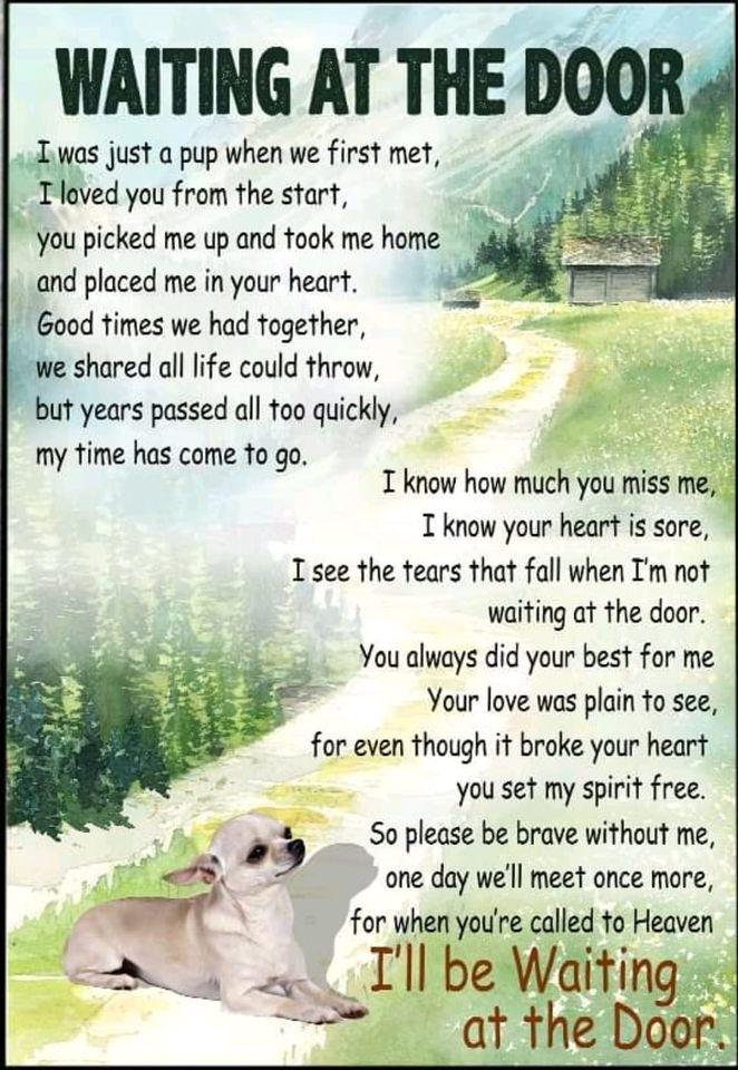 Kellie Fleischacker's album, Timeline photos