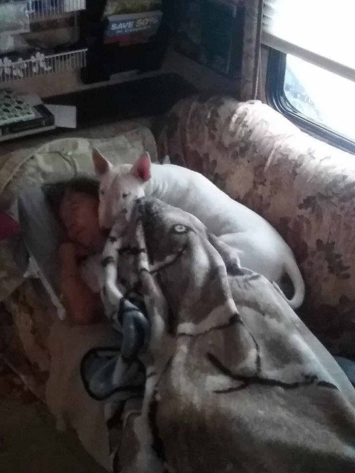Rick Littmann's album, Mobile Uploads