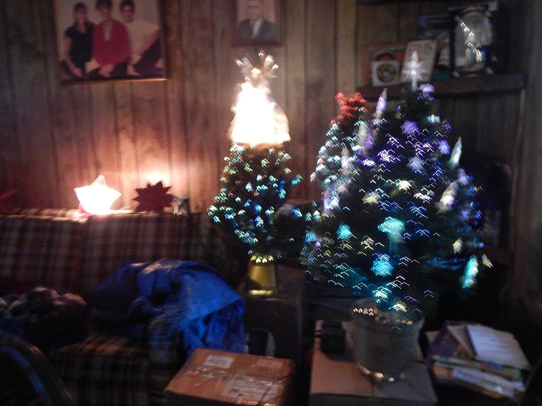 Wanted to share some of this year's Christmas pictures