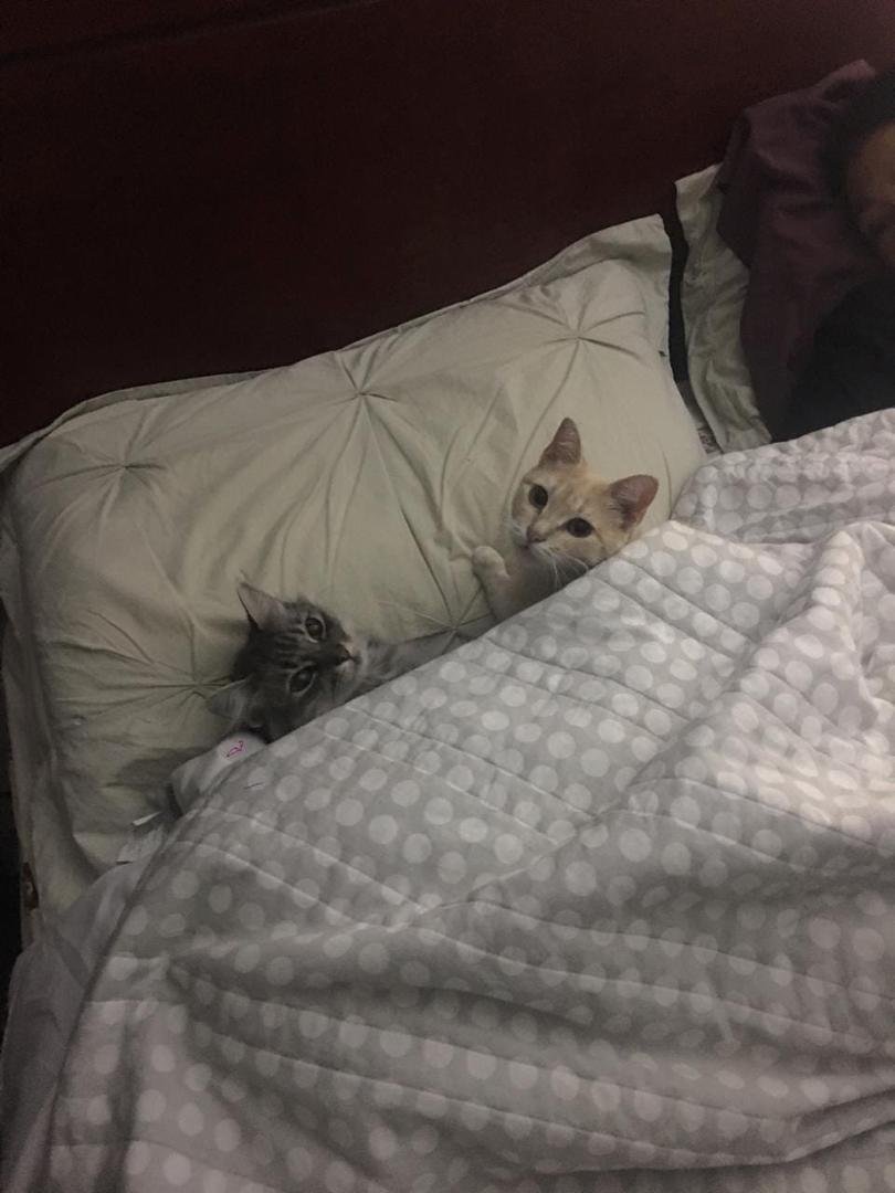 Fuera de mi cama !!!!!!
