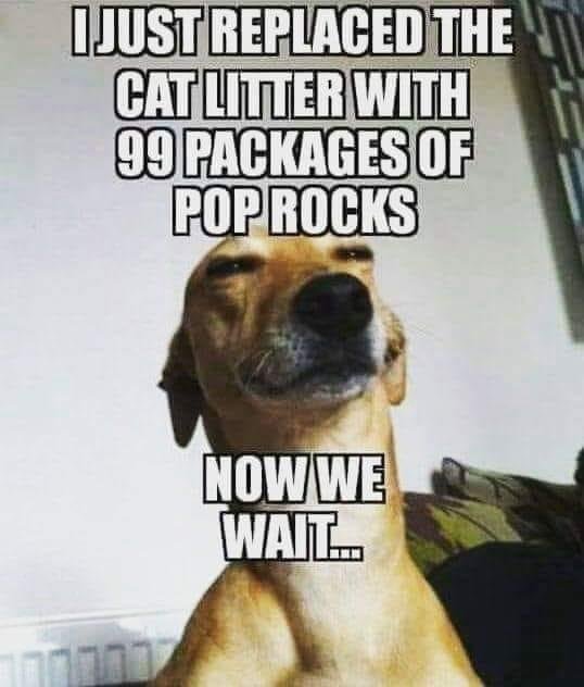 Gotta love the bad boy🤣