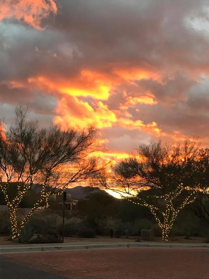 Ronna Garry's album, Mobile Uploads