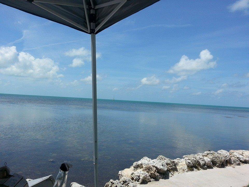 Rick Littmann's album, Mobile Uploads