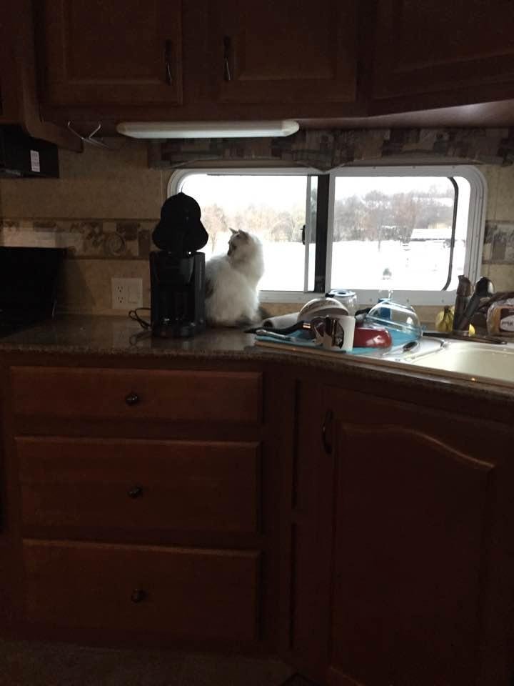Cindy Anderson's album, Timeline Photos