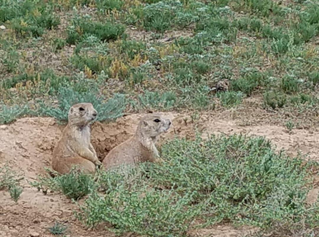 My new friends in Wyoming!!