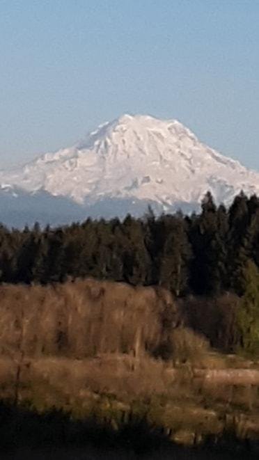 What a perfect day!!! Me and TJ just went for a walk at our favorite place and look what was there!