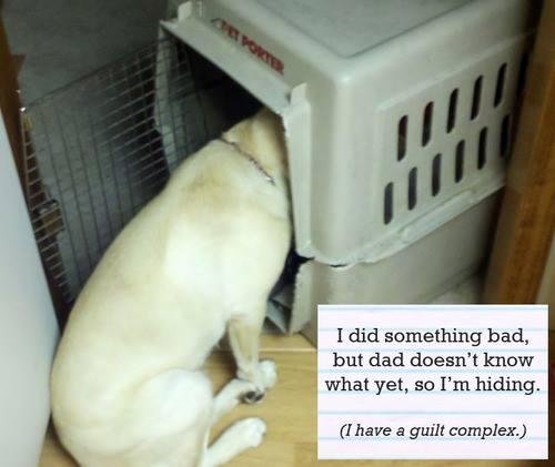 Patsy Miessler's album, Timeline Photos