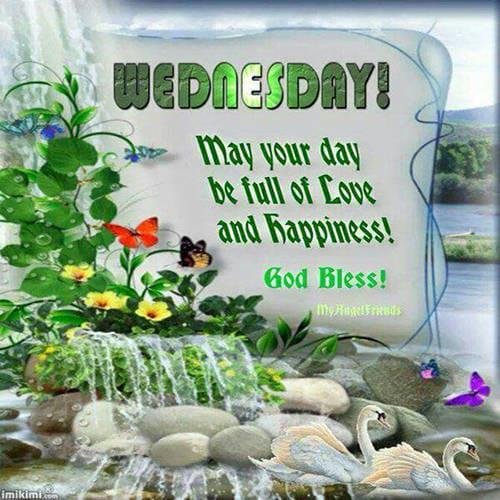 Tracy Leopold's album, Timeline Photos