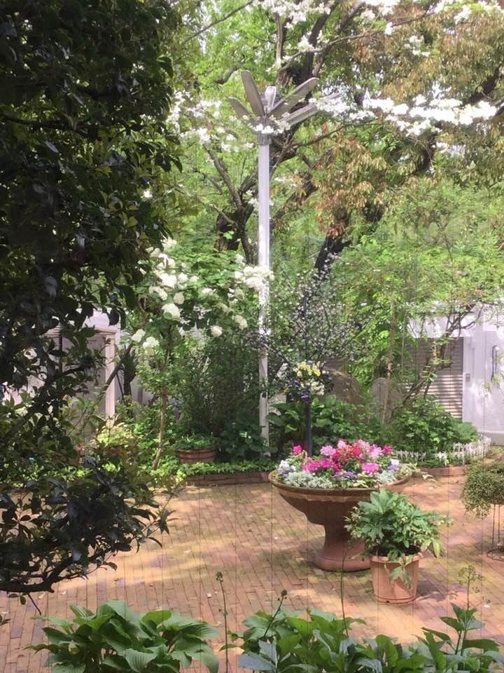 Beverly Kawabe's album, Timeline Photos