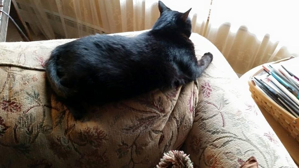 Beth Handley's album, Mobile Uploads