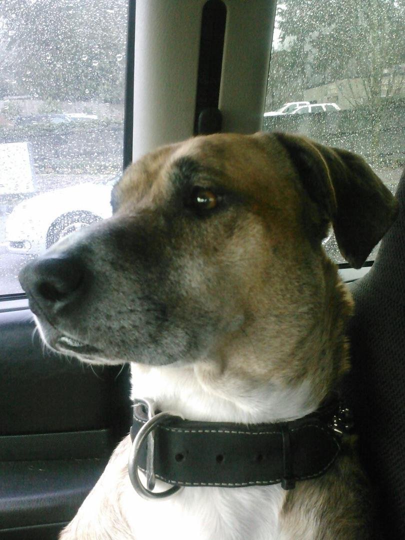 My co-pilot