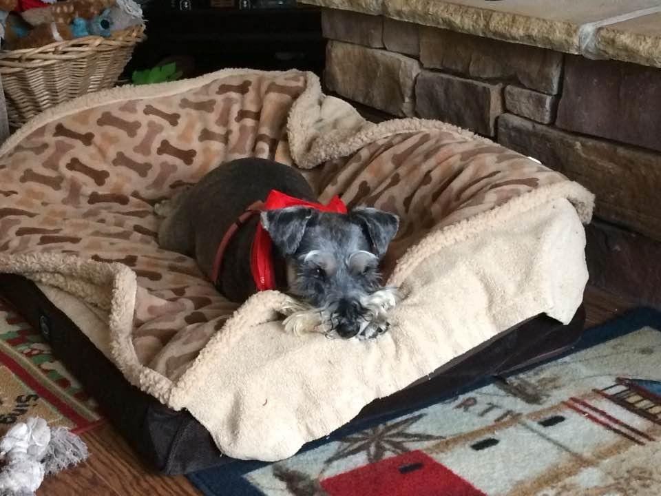 Cathy Magalis' album, Timeline Photos