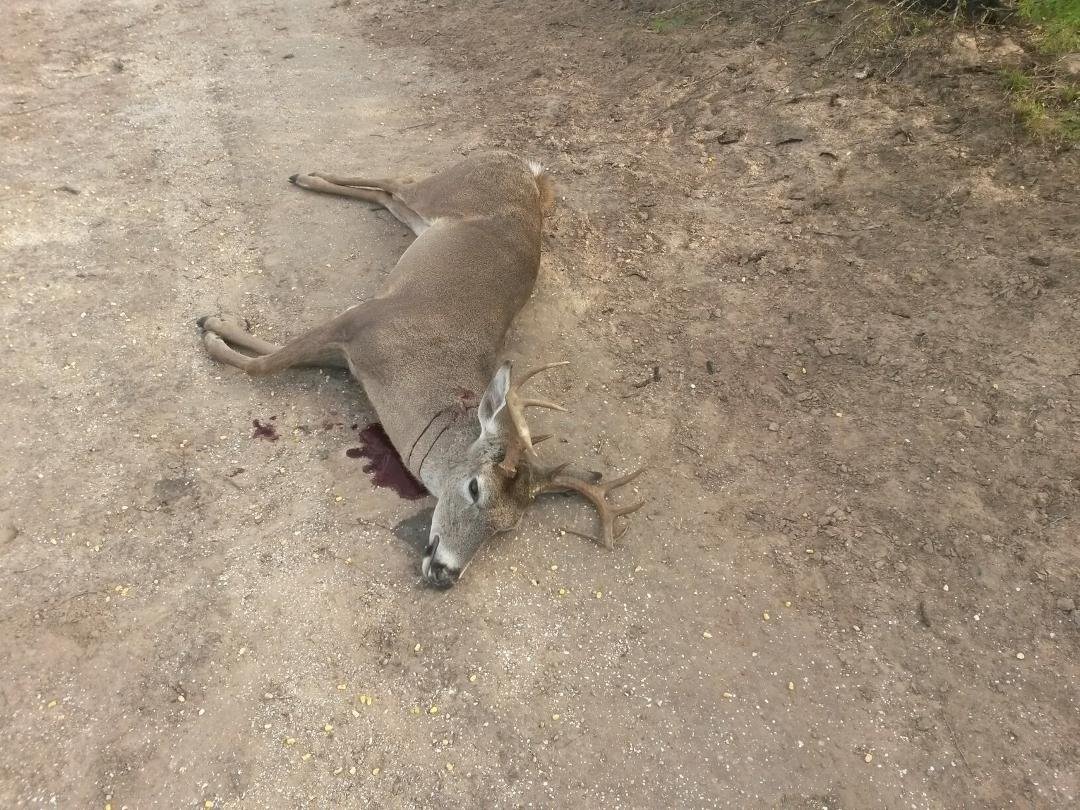 Last kill of the season
