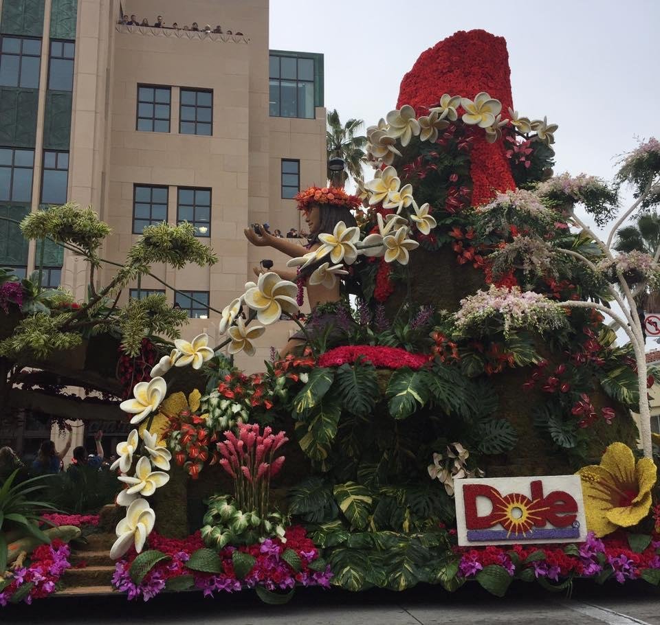 Beverly Kluger's album, The 2017 Rose Parade 🌹