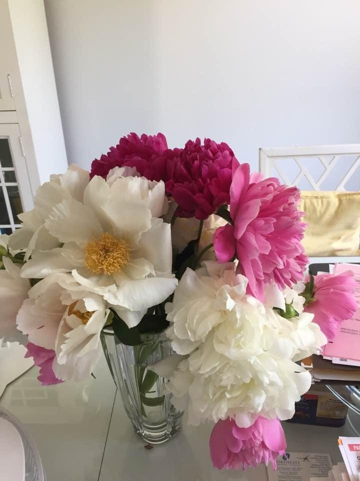 Thank you Diane and Jonathan for these beautiful peoinies. What a green thumb Diane!!❤️