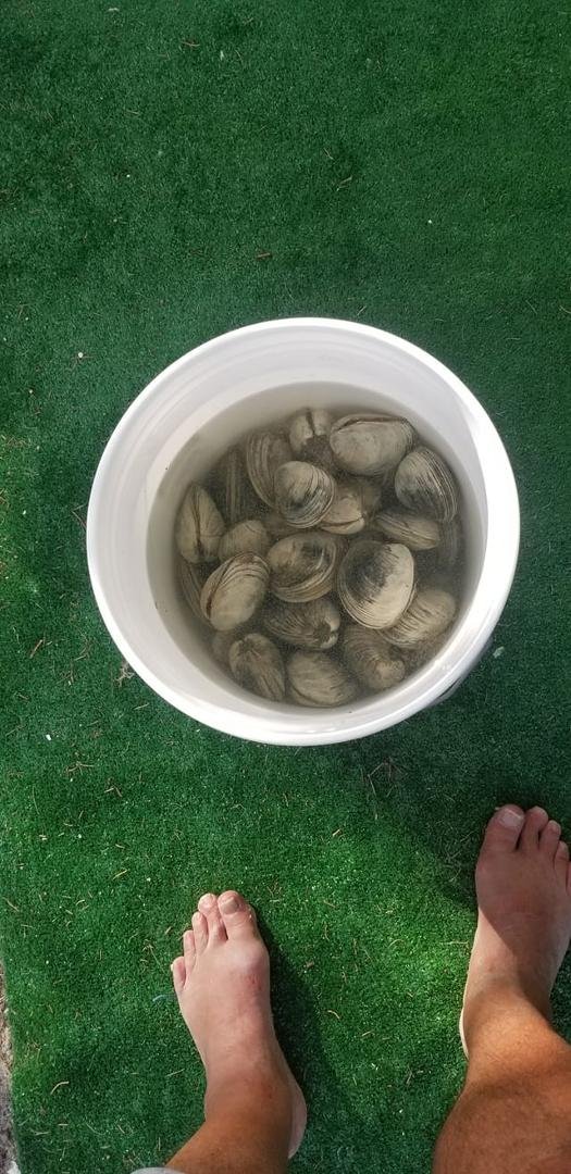 First clam catch. Had to go waay out. Need to find smaller ones.