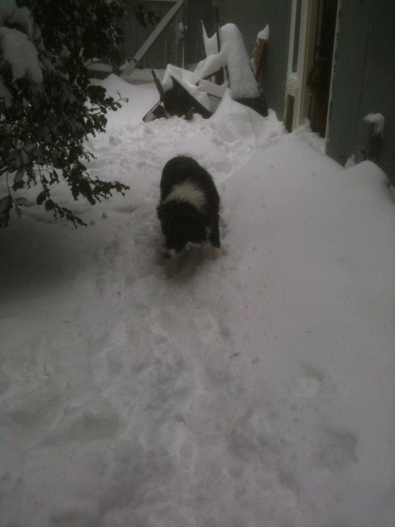 Mike Rabe's album, SNOW STORM 2014