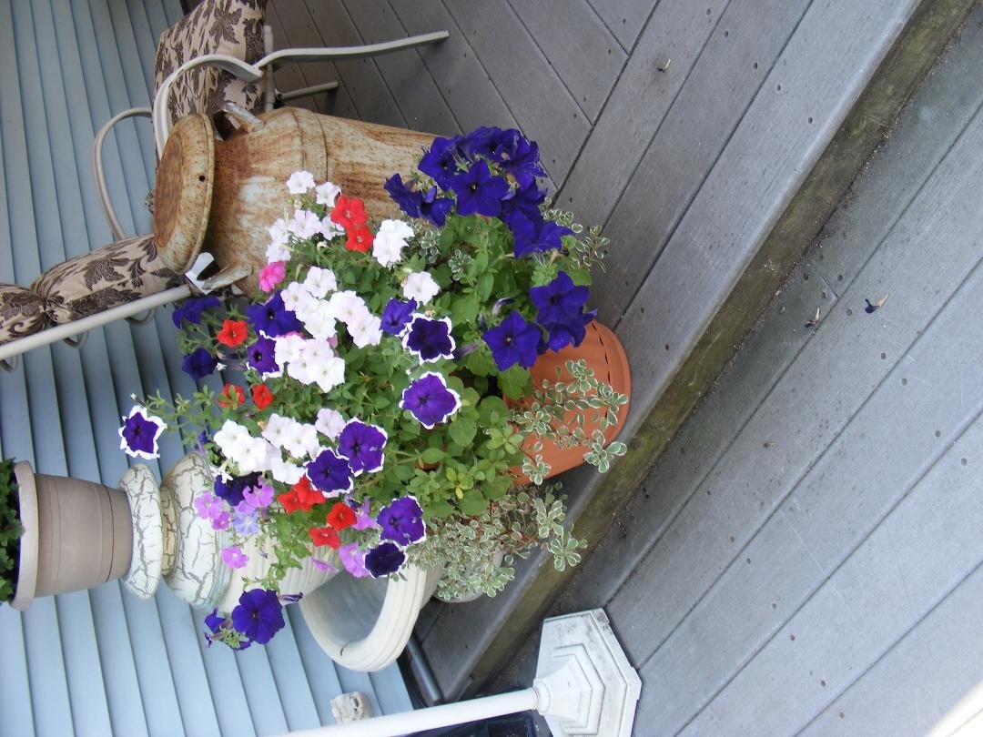 Deb Farrell's album, Timeline Photos