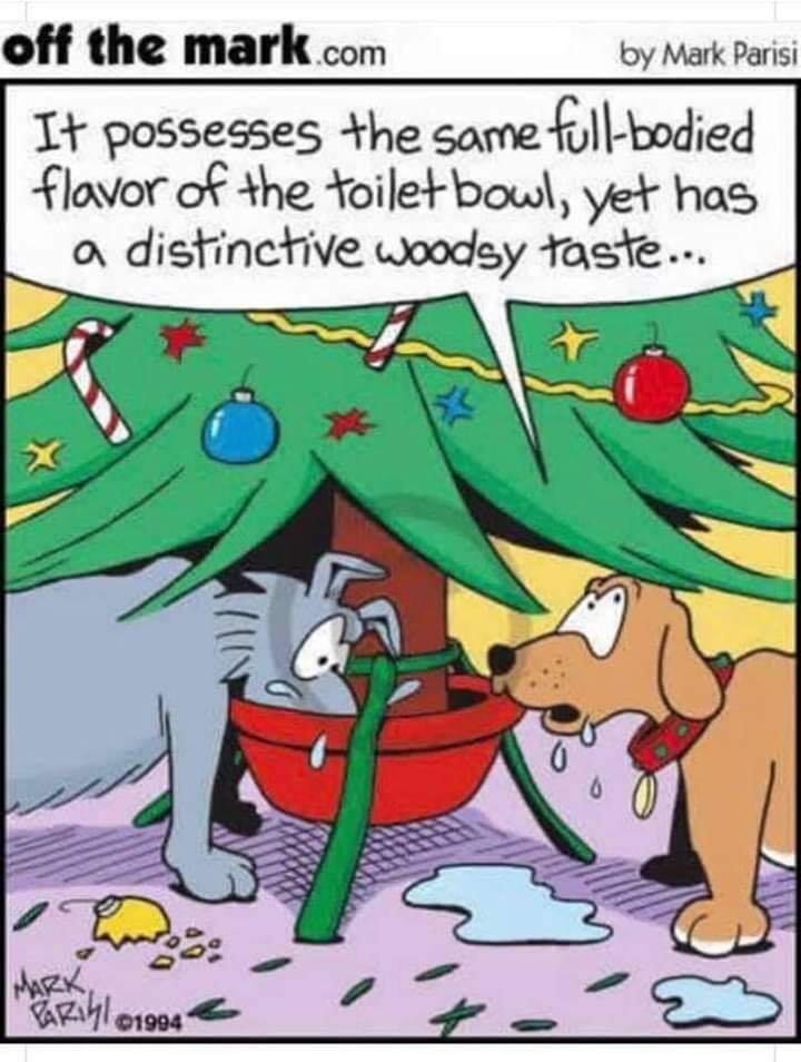CC's (Canine Connoisseurs)