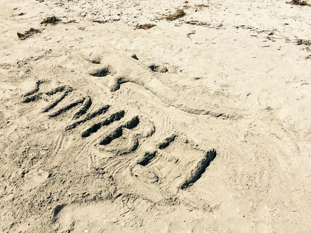 Yes, there are alligators on Sanibel.