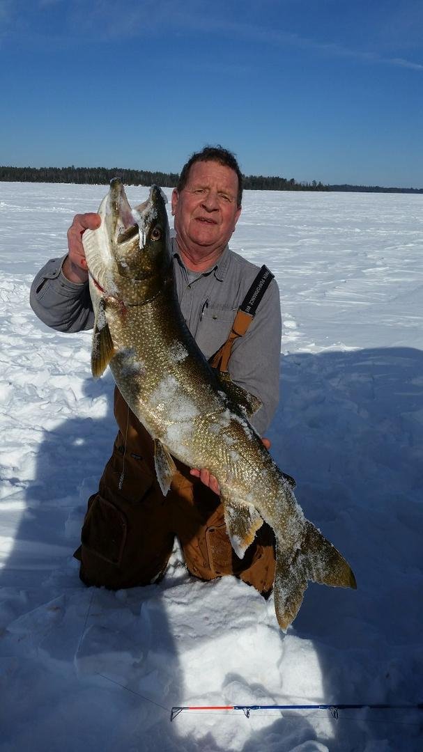 38 in. 23.5 pds.