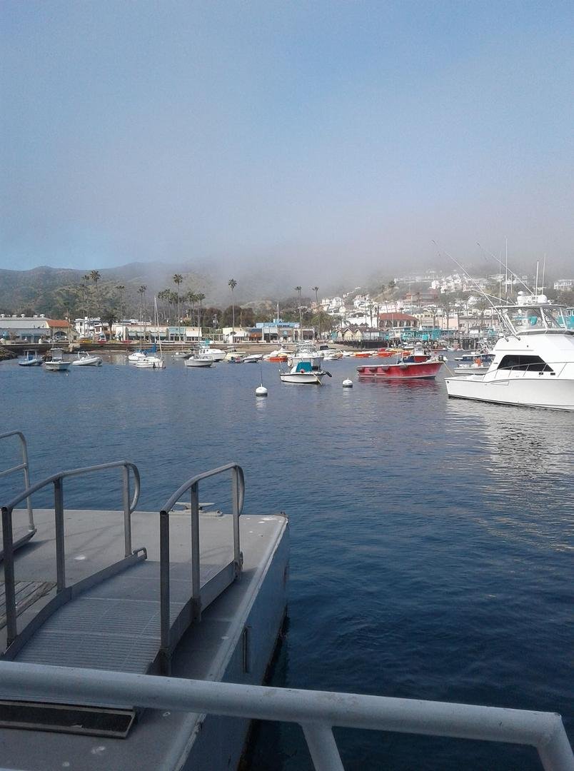 Catalina Island for our first excursion