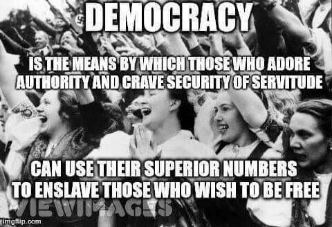 James Madison from Federalist #10
"Hence it is that such democracies have ever been spectacles of turbulence and contention; have ever been found incompatible with personal security and the rights of property, and have in g