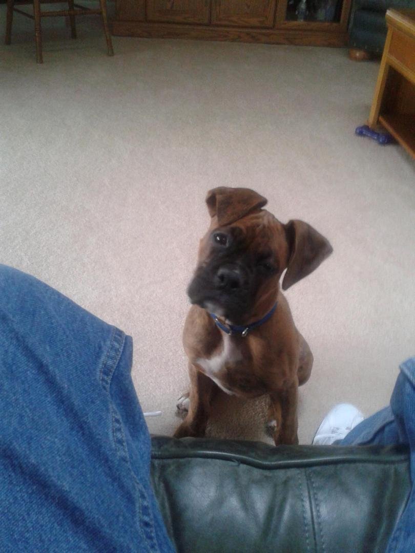 Newest member of the family. She needs a name.
